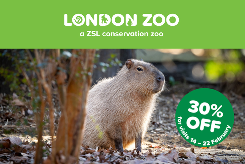 A capybara sitting among foliage at London Zoo, with promotional text for a 30% discount on visits from 14 to 22 February.